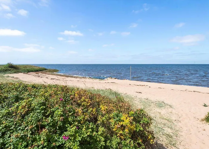 C11004-hemmet-vester-faelled-15 Dom wakacyjny Hemmet